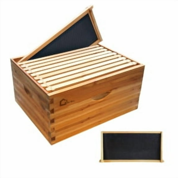 Juiluna 10 Frame Deep Brood Box, Langstroth Beehive Box Dipped in 100% Beeswax, Bee Hive Deep Box with Frames and Wax Foundations for Beekeeping Supplement