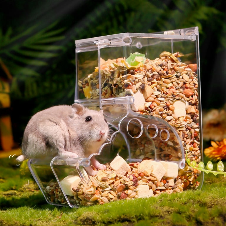 Hamster feeder shop