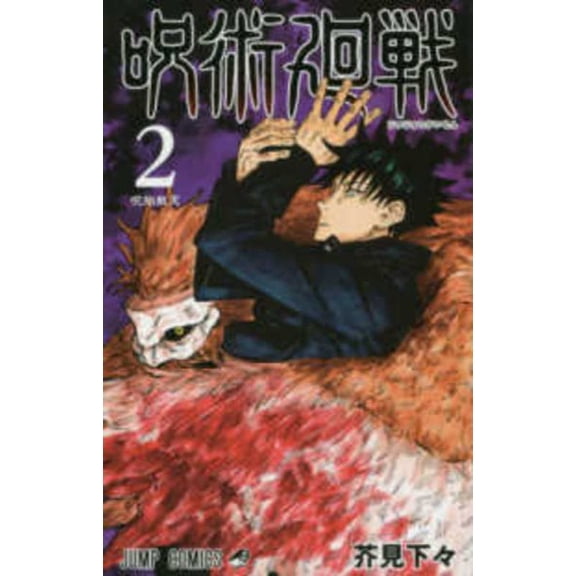 Jujutsu Kaisen 2 (Paperback)
