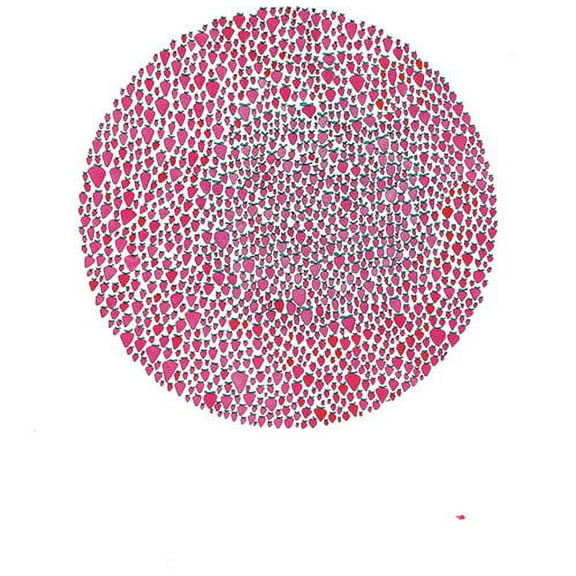 Julia Brown - An Abundance of Strawberries - Music & Performance - Vinyl