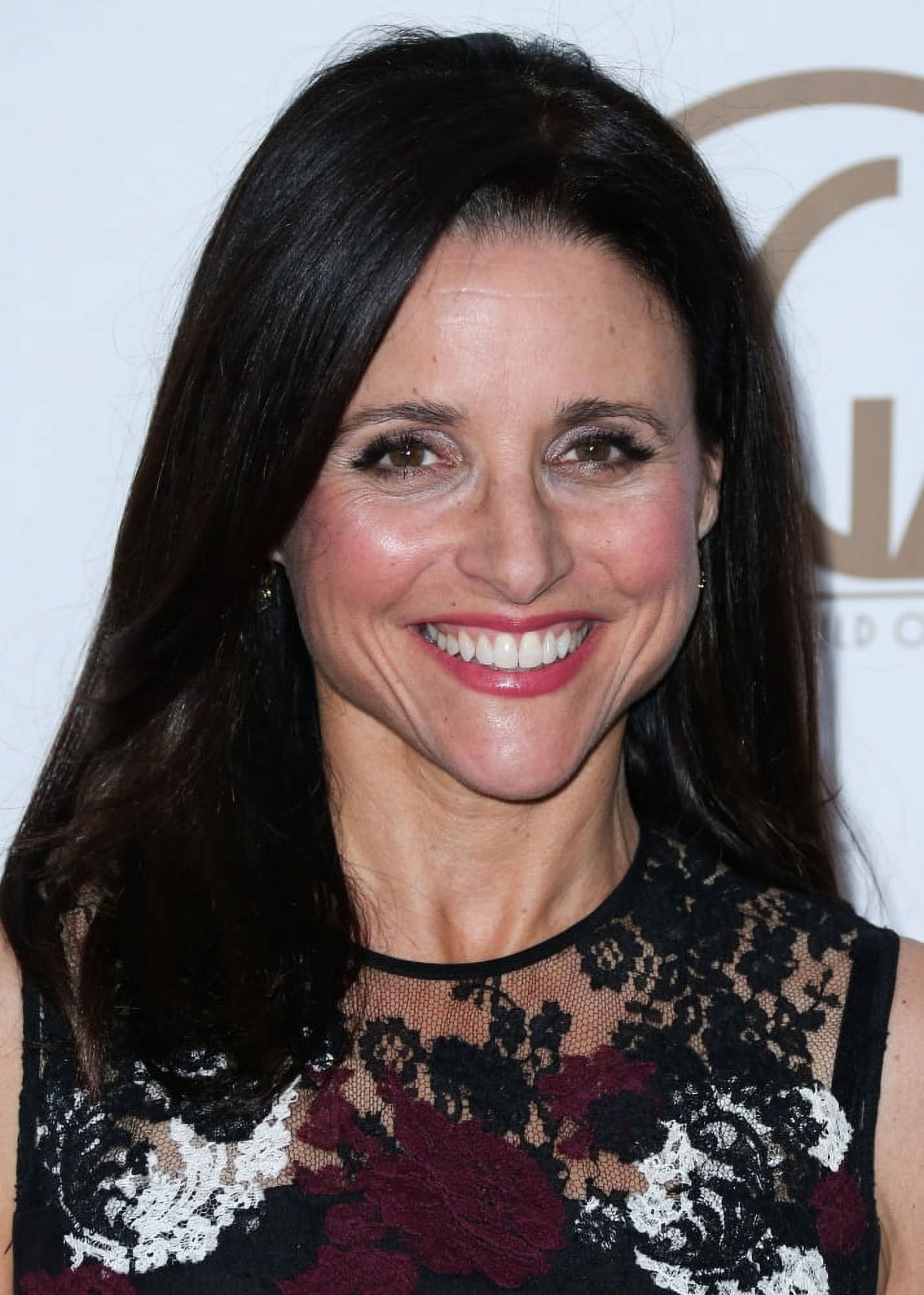 Julia Louis-Dreyfus At Arrivals For 26Th Annual Producers Guild Awards - Pga 2015 Canvas Art - (16 x 20)