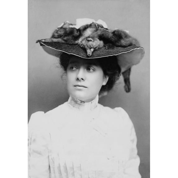 Julia Marlowe (1865-1950) History (18 x 24)
