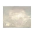 thumbnail image 1 of Julia Purinton 'Ashore Clouds Neutral' Canvas Art, 1 of 4