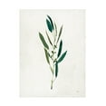 thumbnail image 1 of Julia Purinton 'Botanical Study I Greenery' Canvas Art, 1 of 4