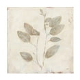 thumbnail image 1 of Julia Purinton 'Plantlife II' Canvas Art, 1 of 4