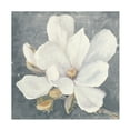 thumbnail image 1 of Julia Purinton 'Serene Magnolia Gray' Canvas Art, 1 of 3