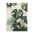 thumbnail image 1 of Julia Purinton 'Tropical Study IV' Canvas Art, 1 of 4