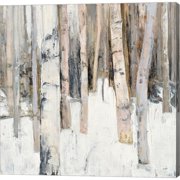 Julia Purinton Warm Winter Light I Canvas Art