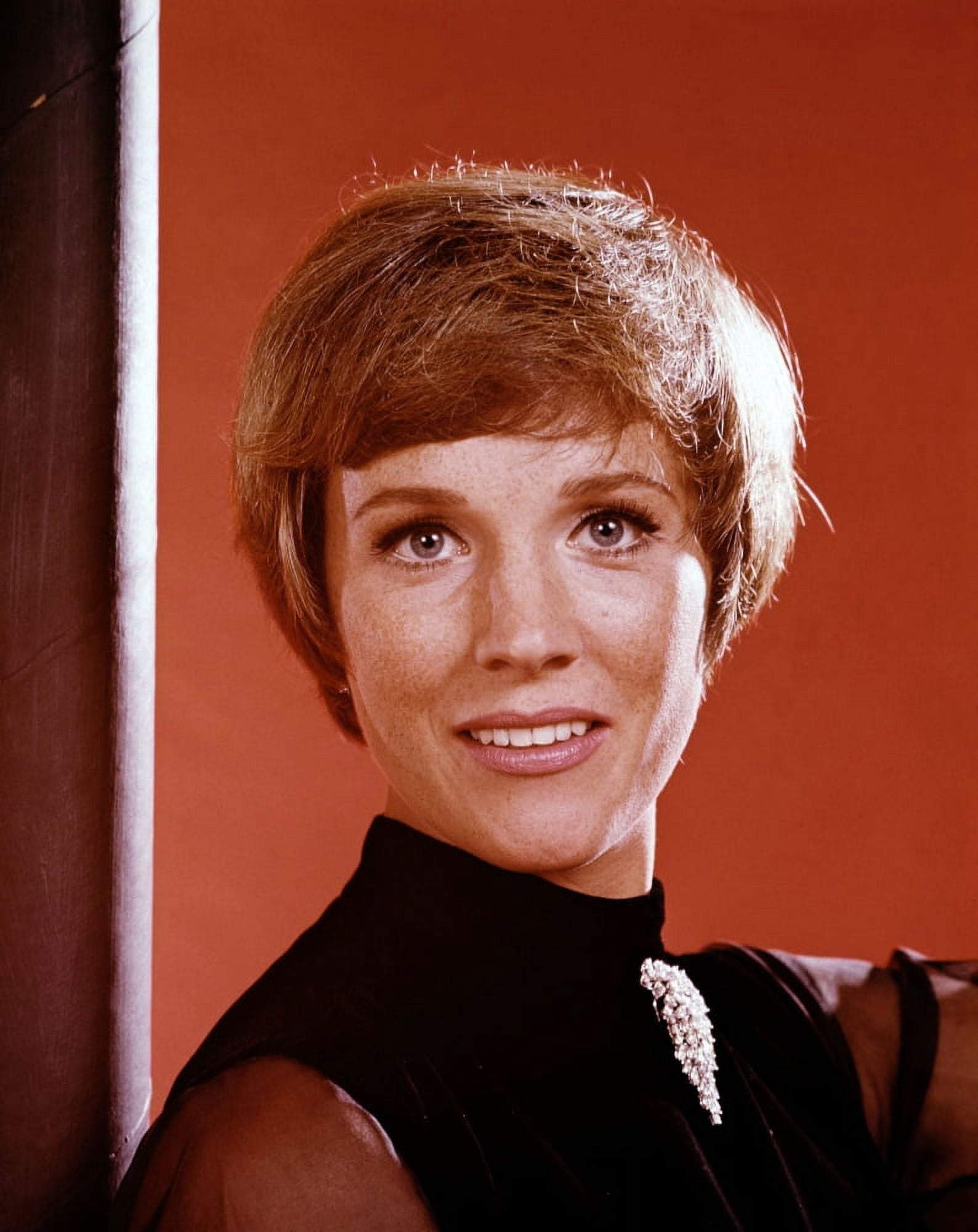 Julie Andrews Canvas Art - (16 x 20)