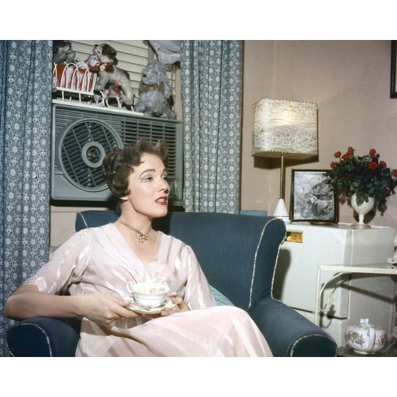 Julie Andrews Vintage Candid 1950's At Home Rare 24X36 Classic Hollywood Poster