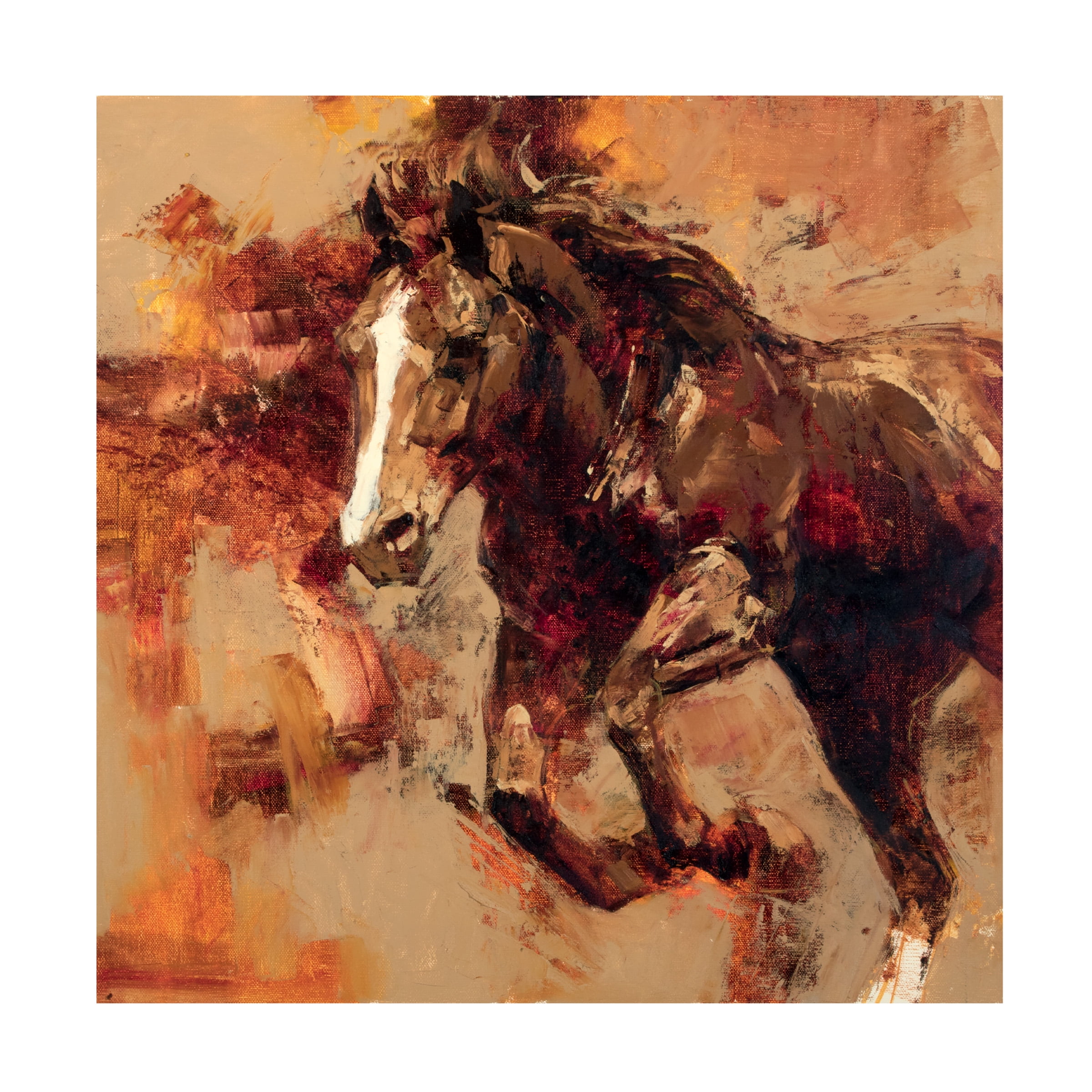 Julie T Chapman 'Earth Wind Fire' Canvas Art