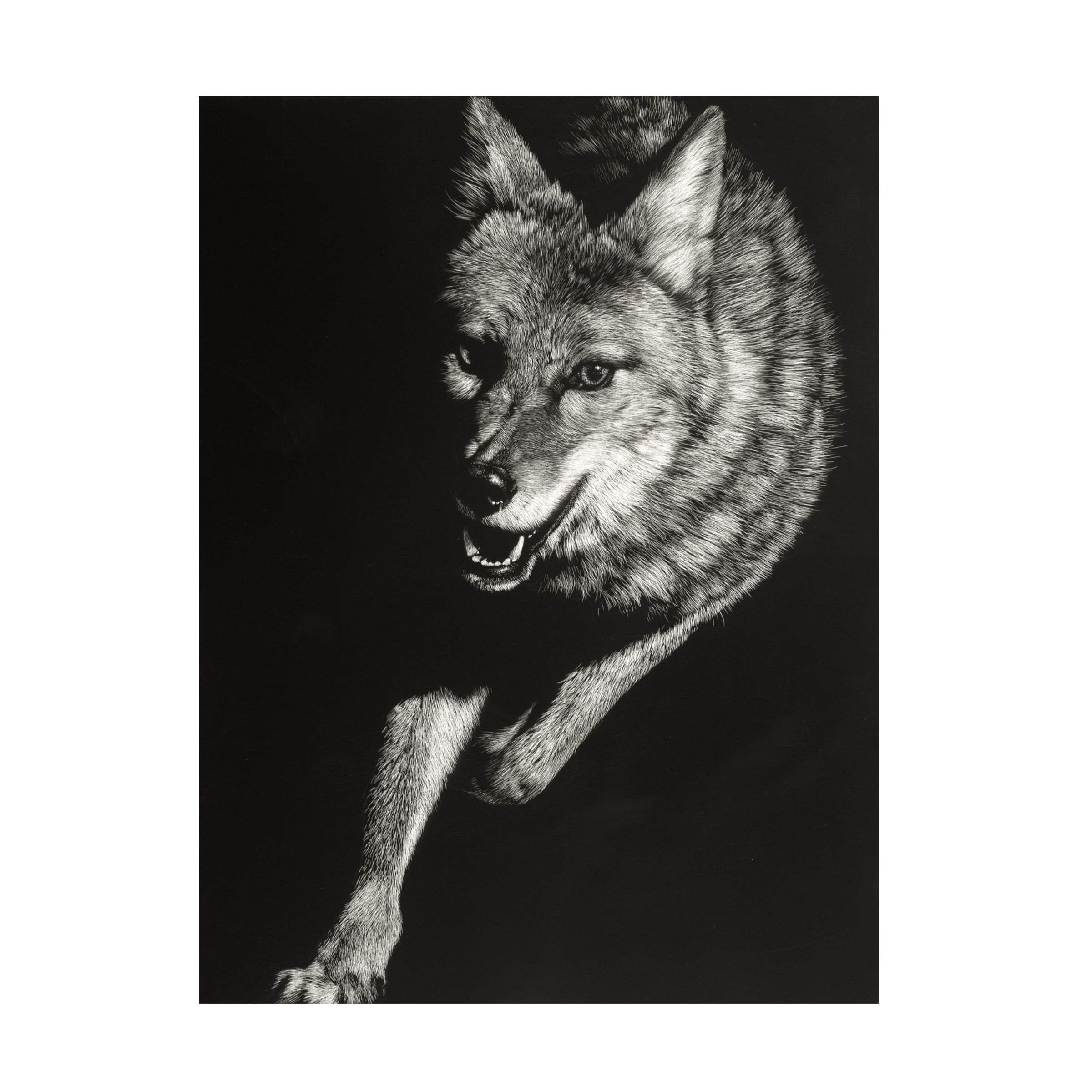Julie T Chapman 'Wild Scratchboard V' Canvas Art