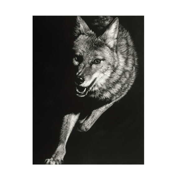 Julie T Chapman 'Wild Scratchboard V' Canvas Art
