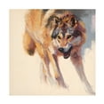 thumbnail image 1 of Julie T Chapman 'Wolf Study IV' Canvas Art, 1 of 3