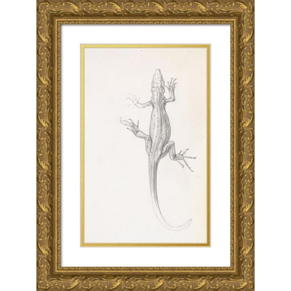 Julie de Graag 17x24 Gold Ornate Framed and Double Matted Museum Art Print Titled - Lizard
