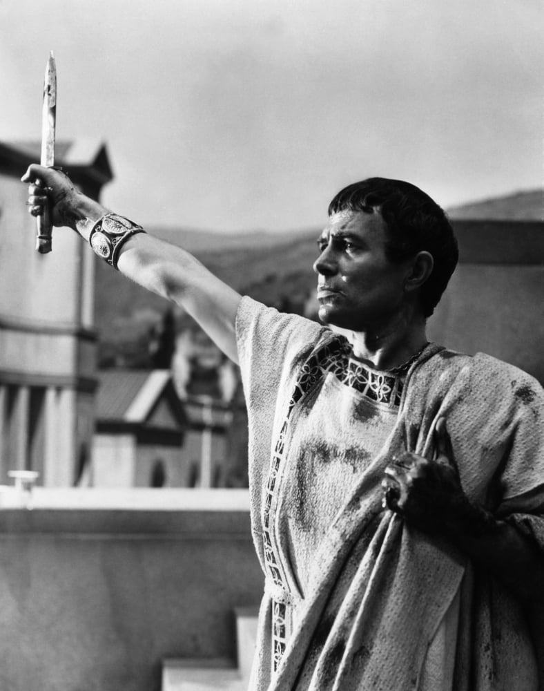 Julius Caesar Canvas Art - (16 x 20)