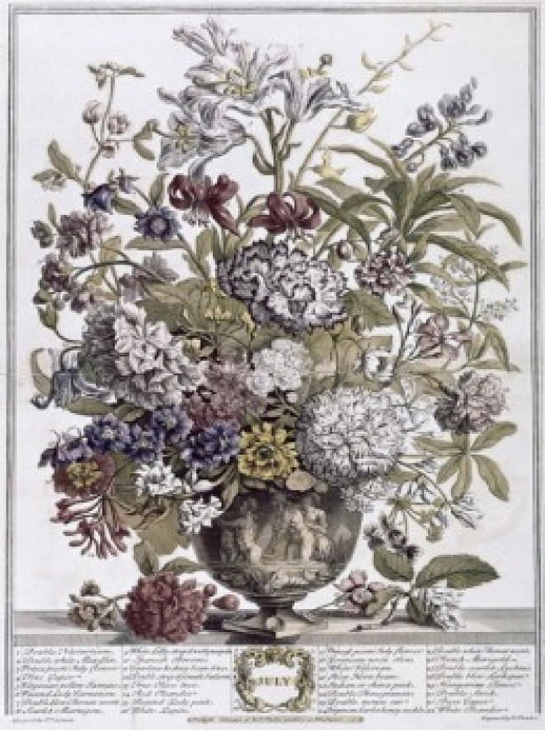 July 1730 H Fletcher (ca18th C British) Lithograph Canvas Art - H Fletcher (24 x 36)