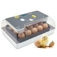 thumbnail image 1 of Jumbl Clear Egg Incubator, Fully Automatic Digital Poultry Hatching Machine, 1 of 10