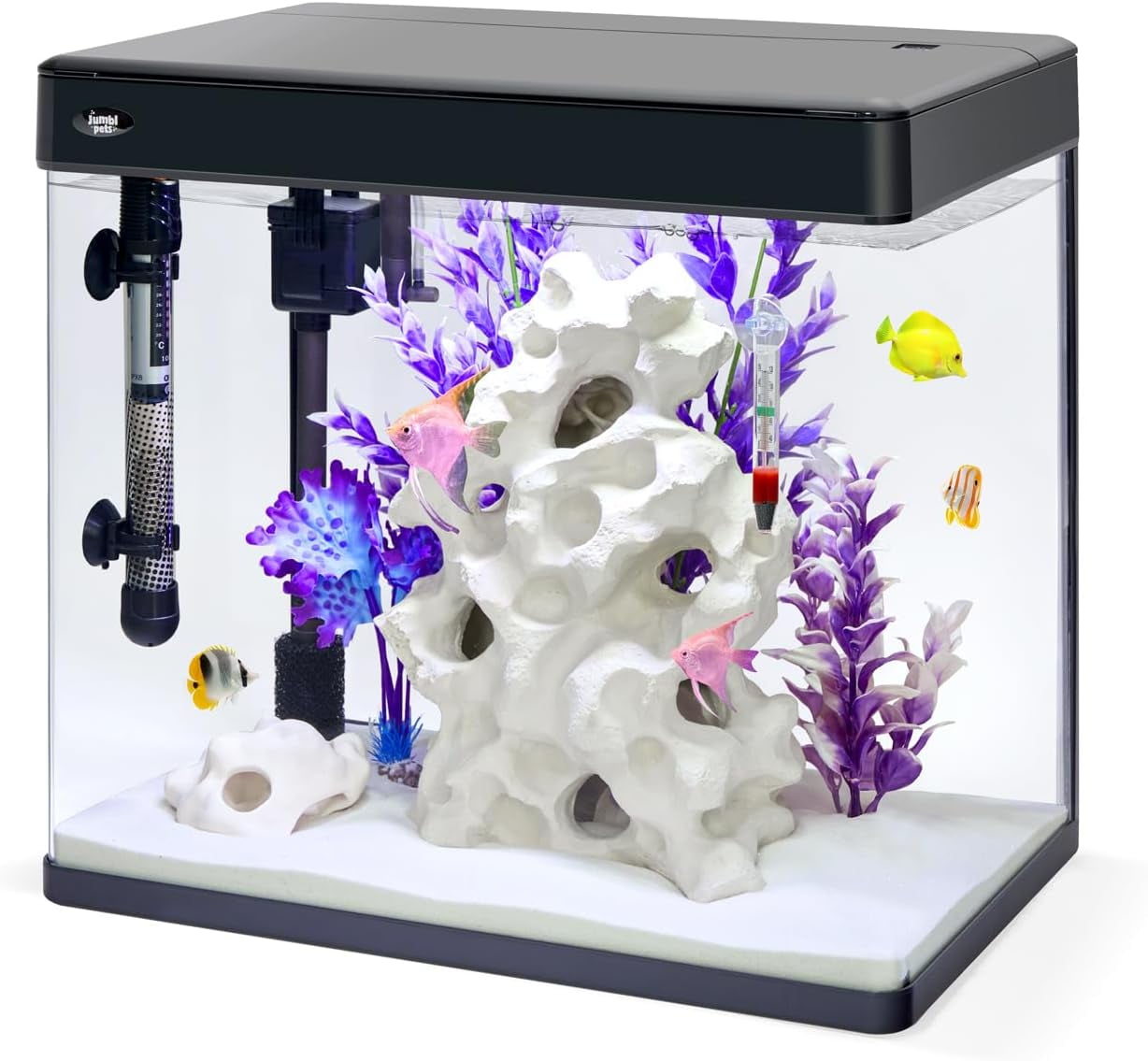 Premium 12-Gallon Black Glass Fish Aquarium Kit with LED Lighting