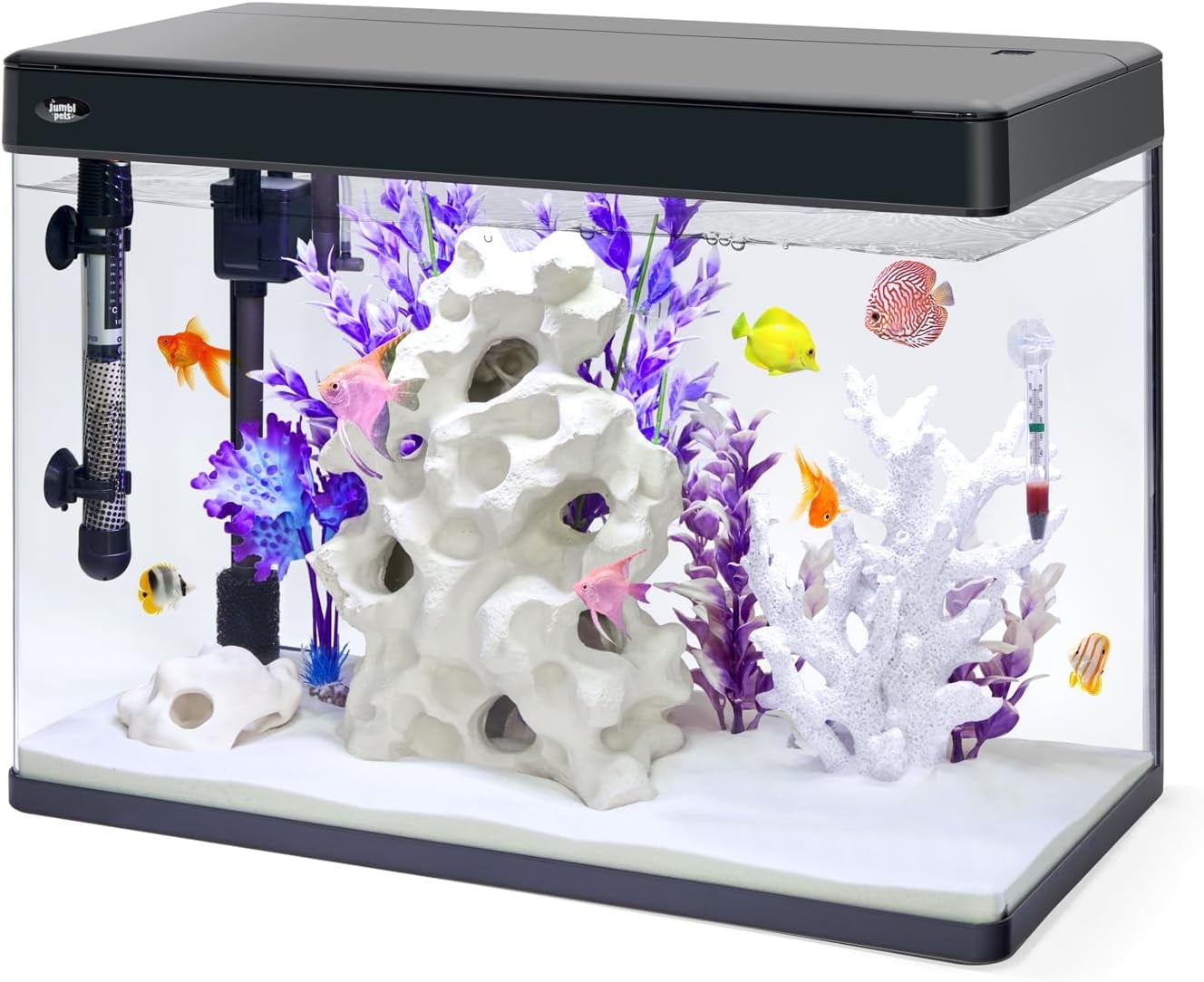 Aquarium Kit With Aeration: Ultimate Guide for Healthy Fish Tanks