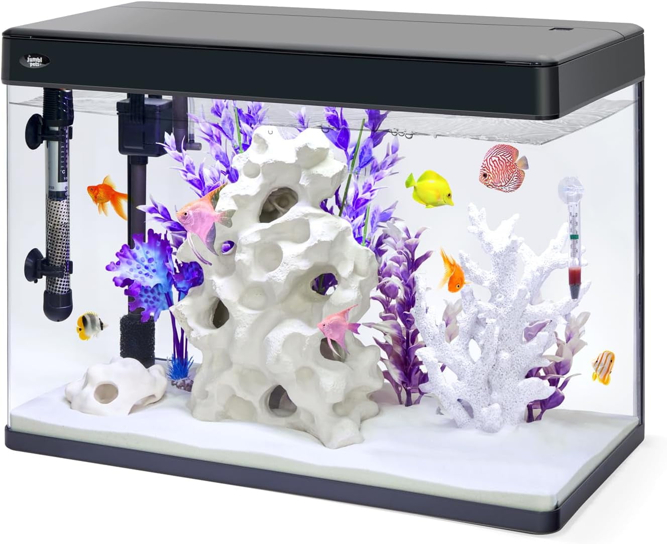 21 Gallon Premium Glass Fish Aquarium Kit with LED Lighting