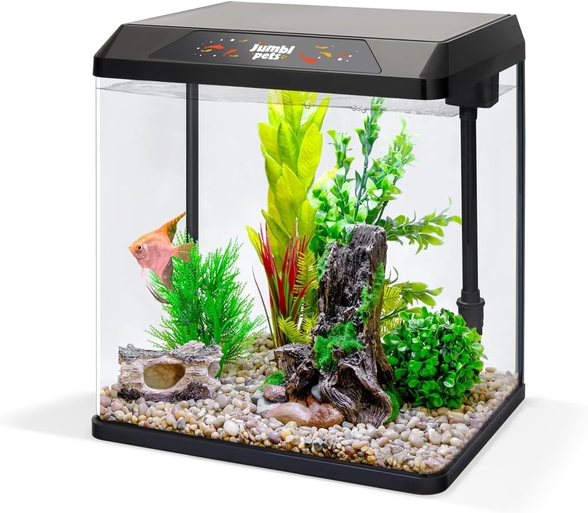 JumblPets-Starter-Fish-