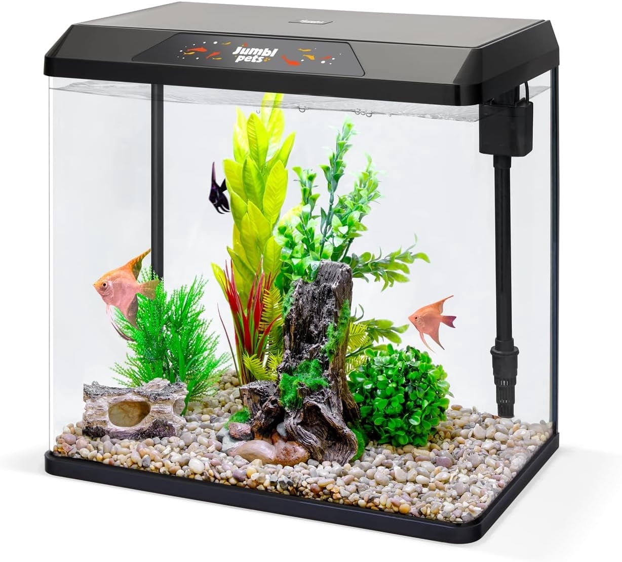 Picture Idea: Jumblpets Starter Fish Aquarium Kit Small Glass Aquarium With Led
