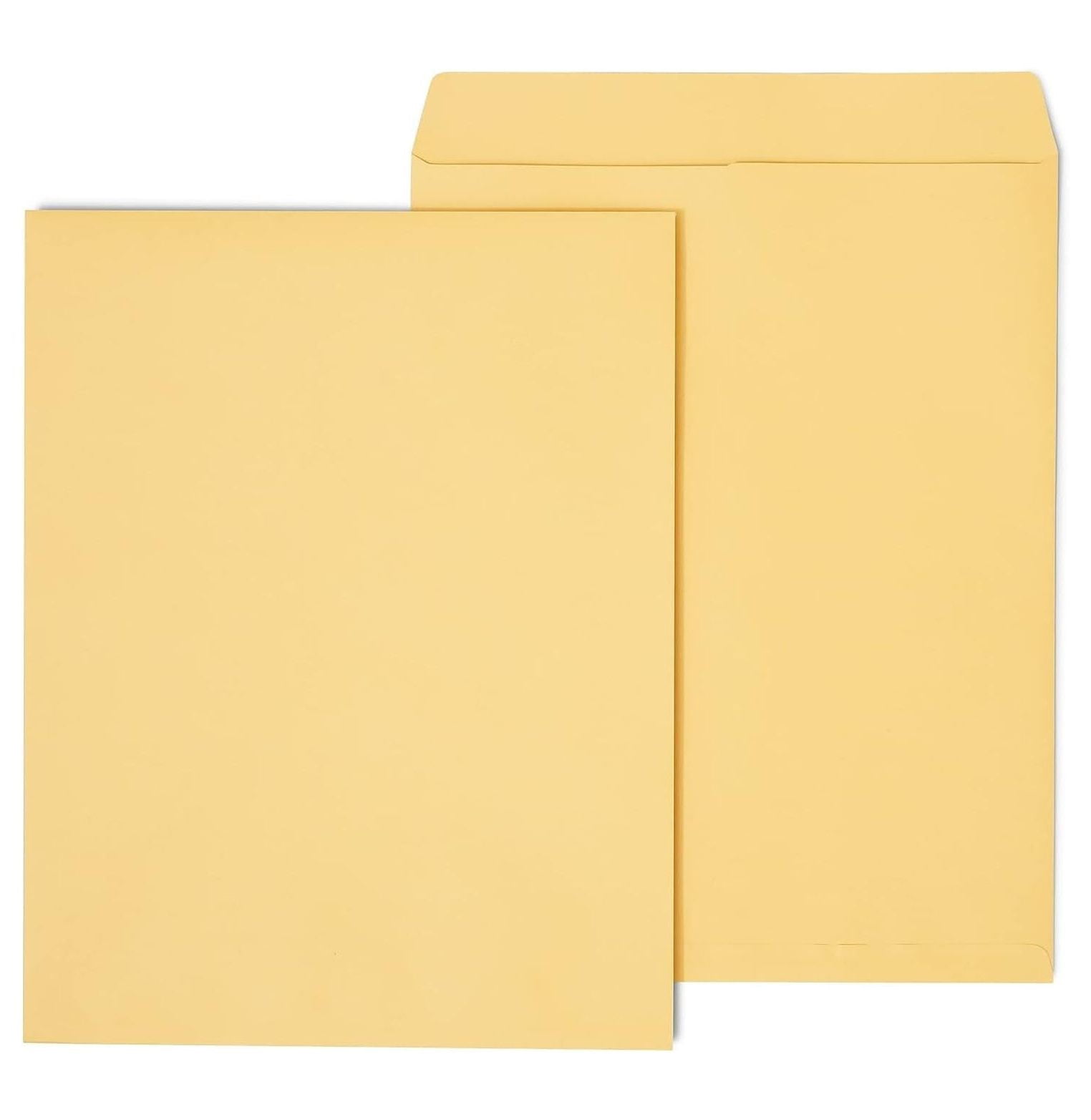 Jumbo Catalog Envelopes 14x18 Inch Brown Ungummed 25 Pack Large