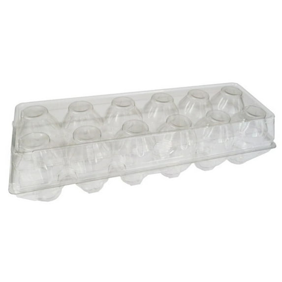 Jumbo Cell 12-Egg Clear Plastic Carton - 35 pack