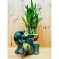 thumbnail image 1 of Jumbo Ceramic Lucky Bamboo Elephant, 1 of 7
