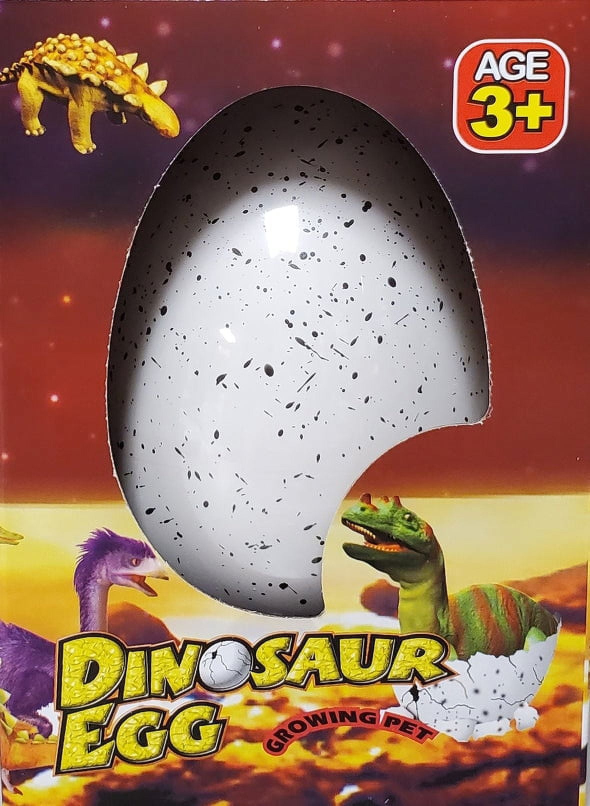 Jumbo Dinosaur Egg Growing Pet