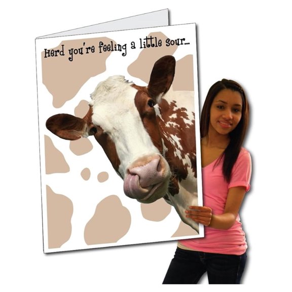 Jumbo Greeting Cards: Giant Get Well Card (Cow), 2 feet x 3 feet Card with Envelope