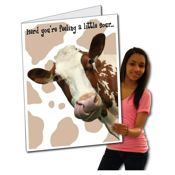 Jumbo Greeting Cards: Giant Get Well Card (Cow), 2 feet x 3 feet Card with Envelope