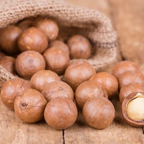 Jumbo Macadamia Nuts (In shell) Fresh California grown (3 LB)
