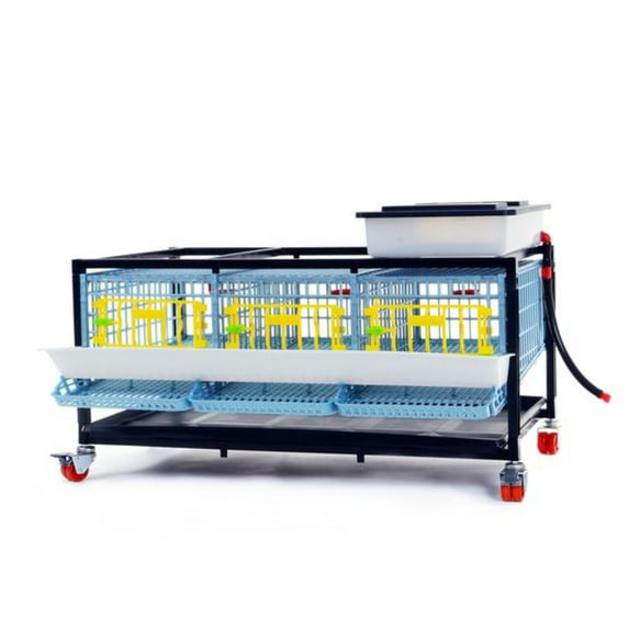 Jumbo Quail Breeding Cage: 1 Section Stackable Quail Coop, Easy Clean, Rust-Free, Easy Egg Collect (2024 Upgrades: Removable Middle Walls, Jumbo Flooring) Cimuka by Hatching Time