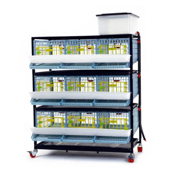 Quail Cage - 3 Layer Flooring Options: Jumbo Quail