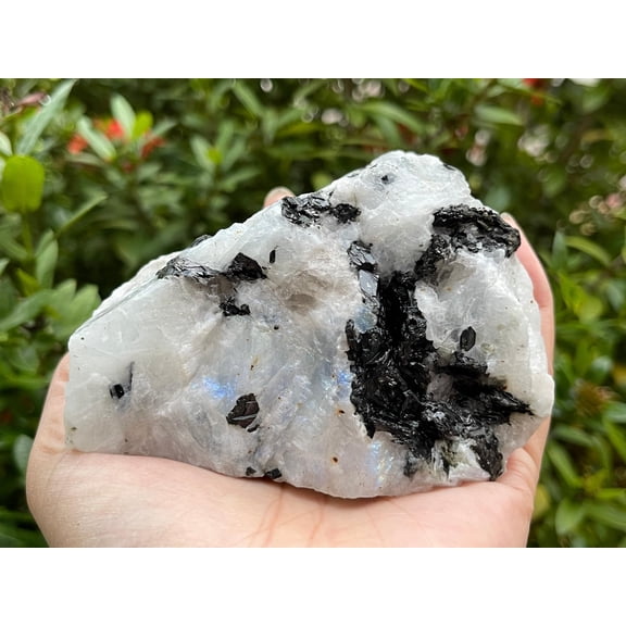 Jumbo Rainbow Moonstone Rough Stones, 3-10" Natural Rainbow Moonstone, Raw Rainbow Moonstone Crystals (6-7 lbs)