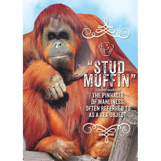 Jumbo Valentine's Day for Him Greeting Card (8X11) by Paper Jumbo Valentine's Day for Him Greeting Card (8X11) by Paper