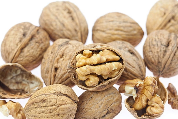 Jumbo Walnuts - In the Shell all  Natural - 3 lb - nuts n more