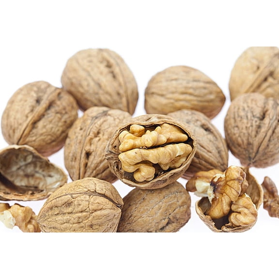 Jumbo Walnuts - In the Shell all  Natural - 3 lb - nuts n more