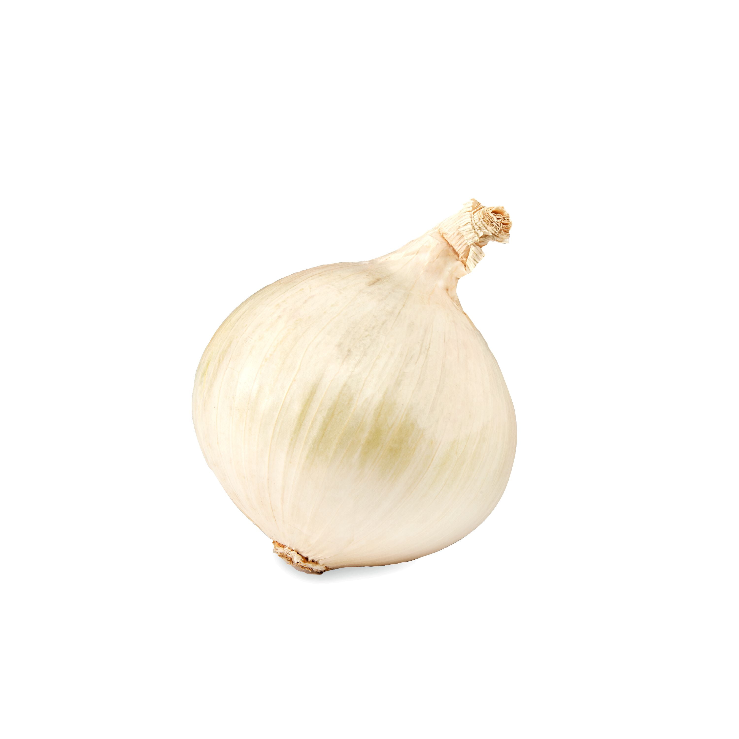 Jumbo White Onions Per Pound