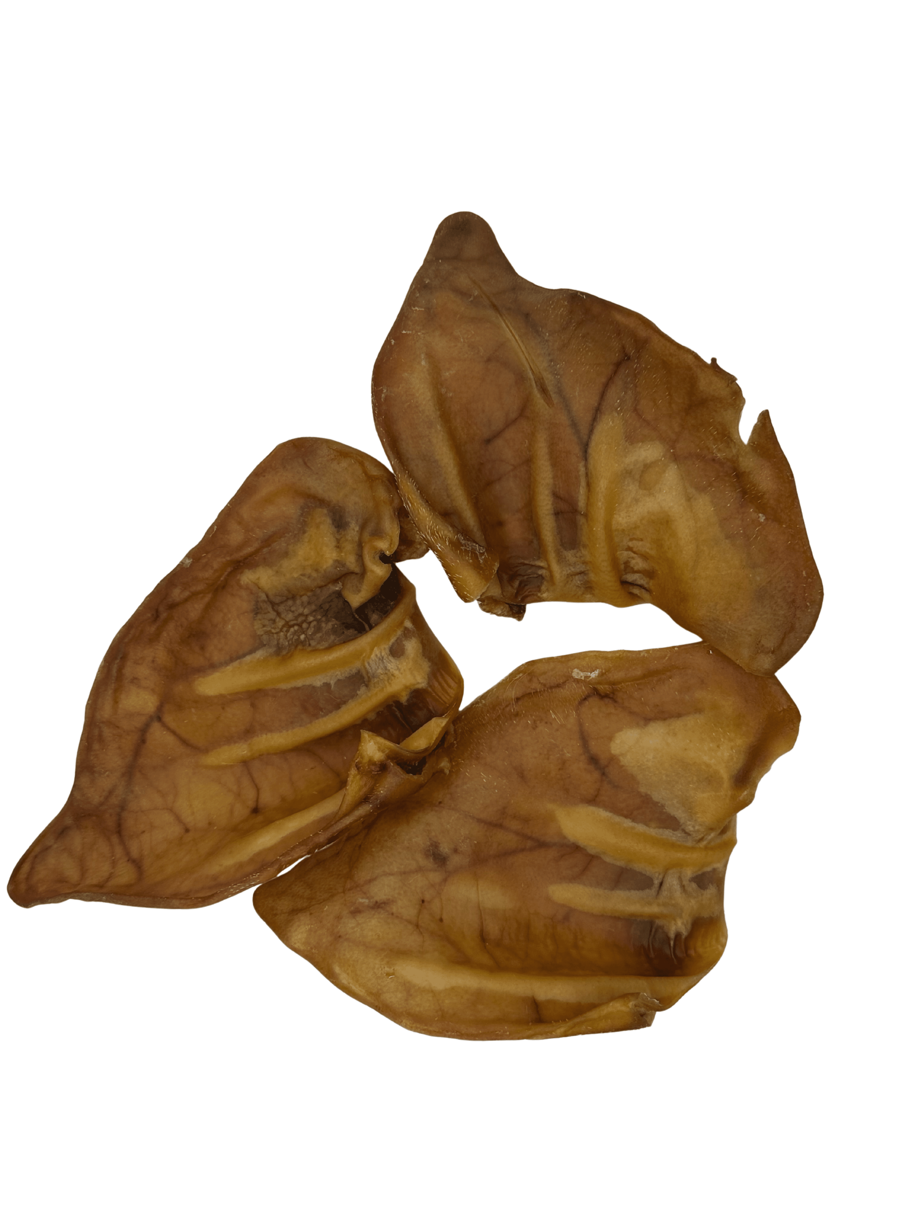 Dog Snack Gloria Pig Ears main image 0