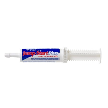 Manna Pro Jump Start Plus Oral Microbial Gel | Multi-Species | For Times of Stress, Competition, or Transport | 60 Grams