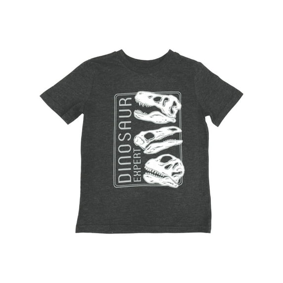 Jumping Beans Boys Gray Short Sleeve Dinosaur Expert T-Rex Tee Shirt T-Shirt 6