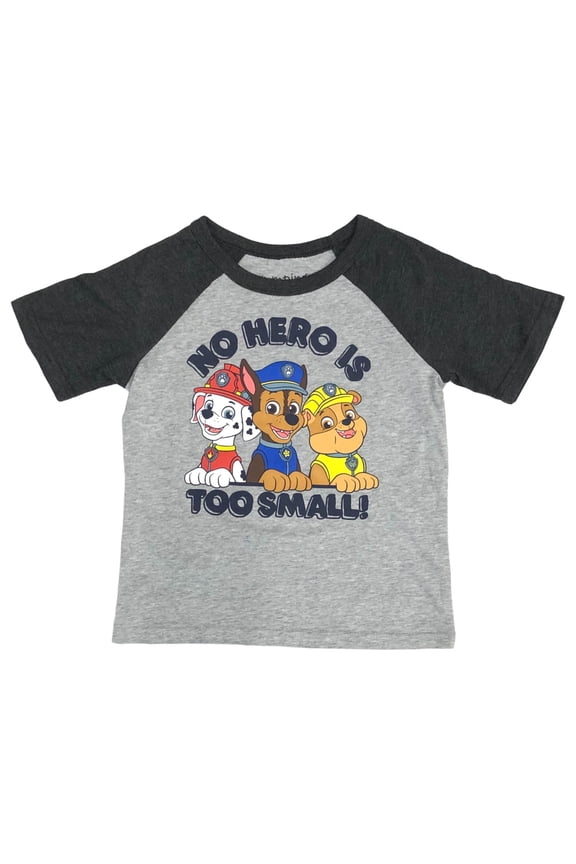 Jumping Beans Paw Patrol Toddler Boys Gray Hero Puppy Dog T-Shirt Tee Shirt 4T