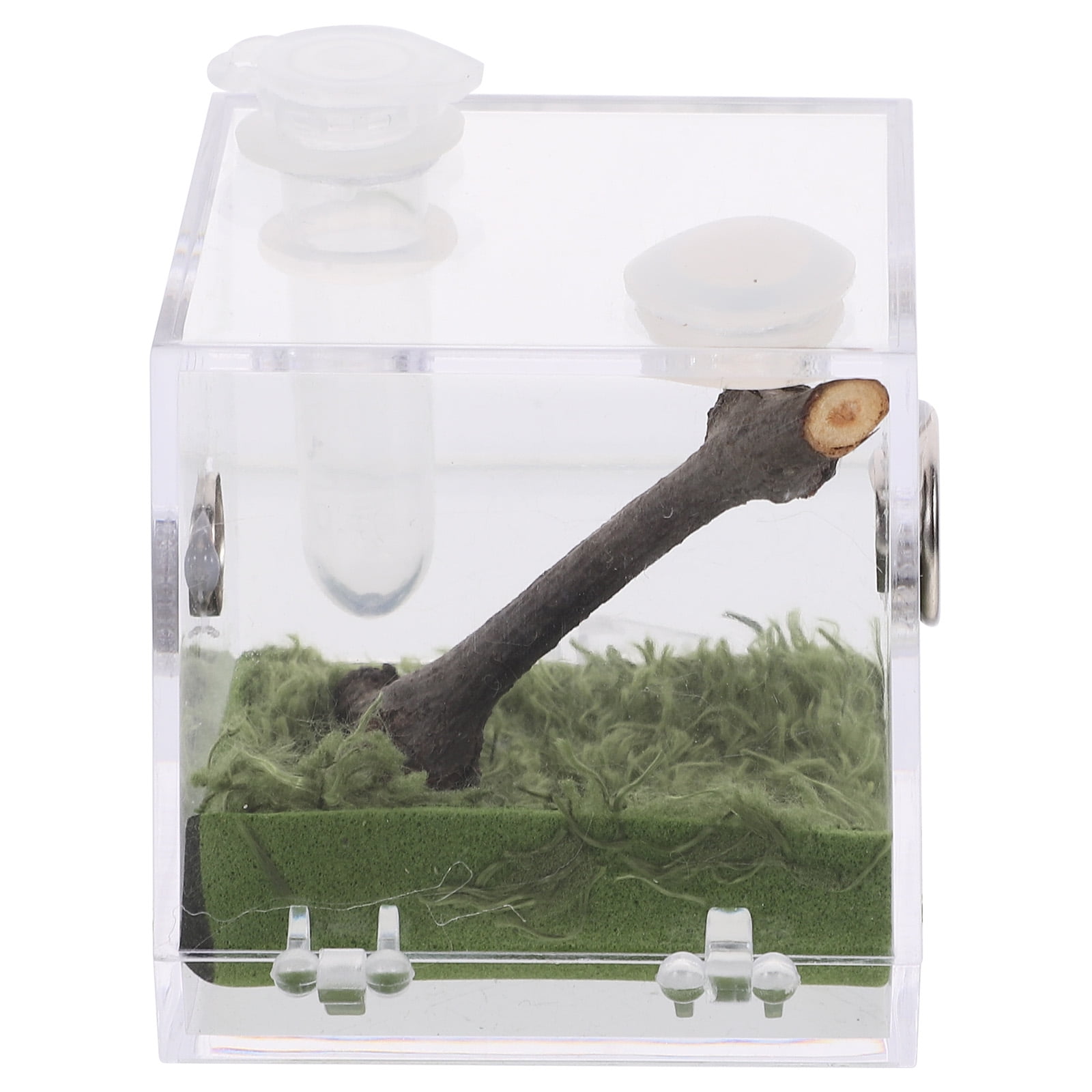 Jumping Spider Breeding Box Reptile Holder Insect Enclosure Tank Case Animal Glass Crawl