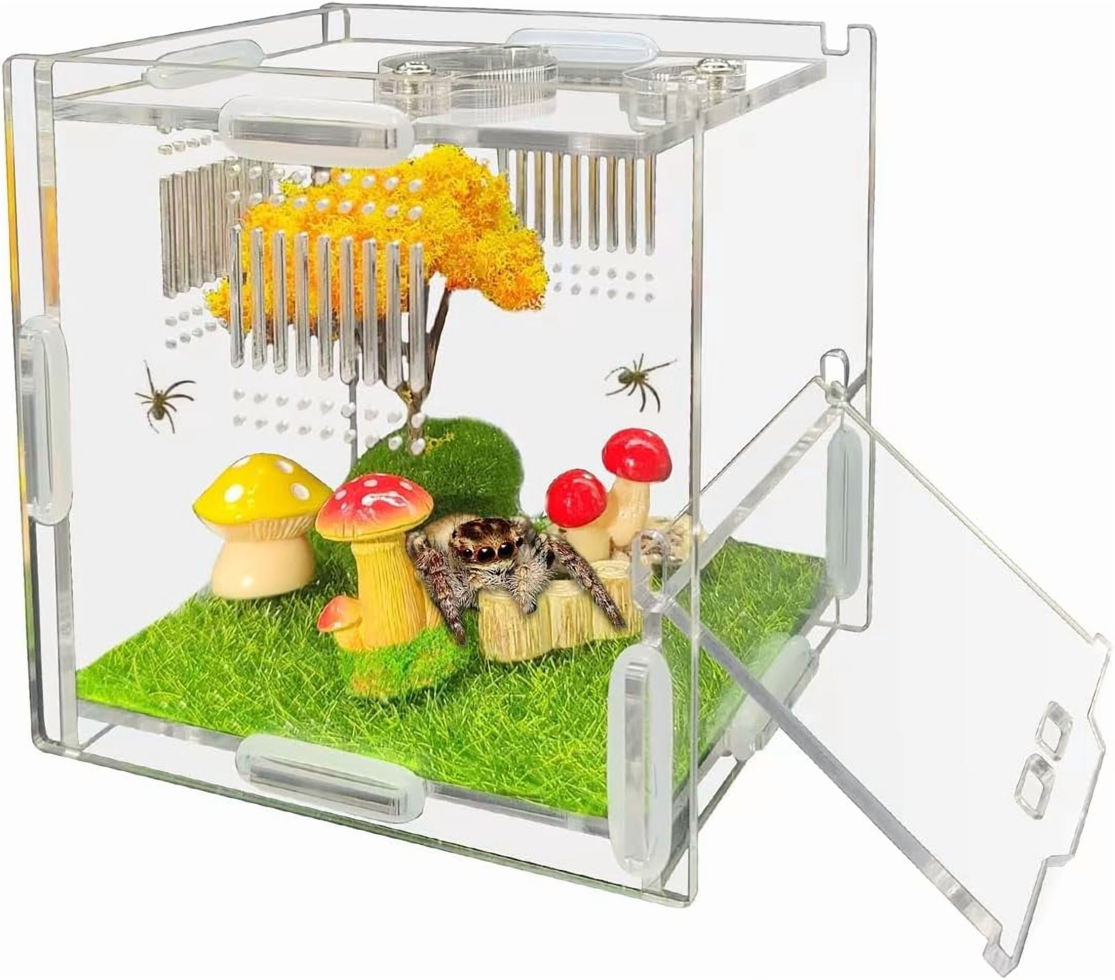 Jumping Spider Enclosure, 4" X 4" X 4" Acrylic Spider Habitat, Front Opening Small Reptile Terrarium with Matrix Ventilation Holes & Feeding Holes, for Jumping Spider Snail Insect