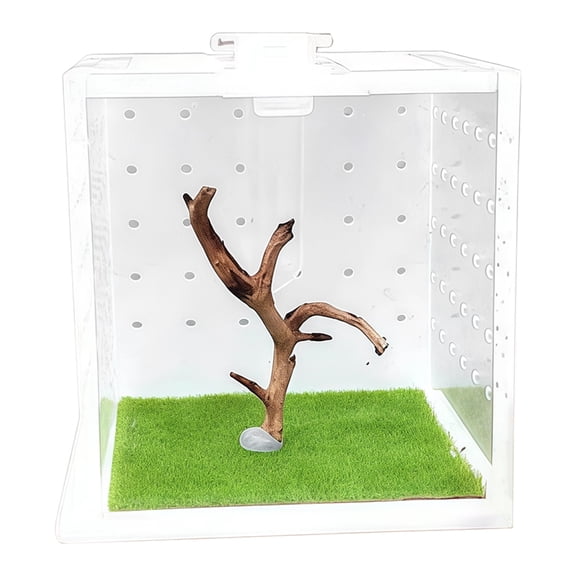 Jumping Spider Enclosure, Acrylic Mini Spider Terrarium, 2.56 x 2.56 x 2.56 in Transparent Habitat Box with Feeding Hole, Ventilation, Decor for Jumping Spiders, and More