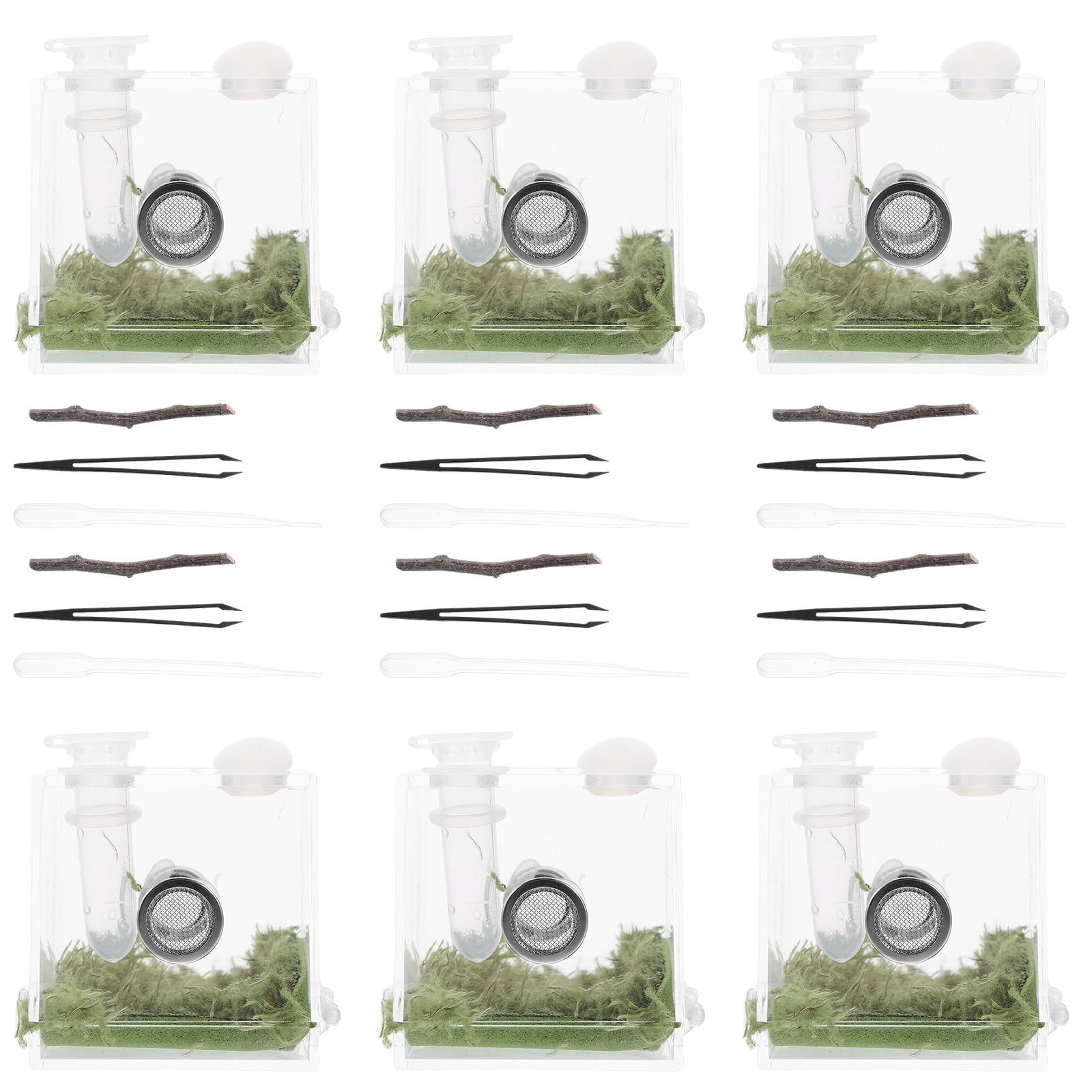 Jumping Spider Enclosure Breeding Box Terrarium Pet Acrylic 2 Sets