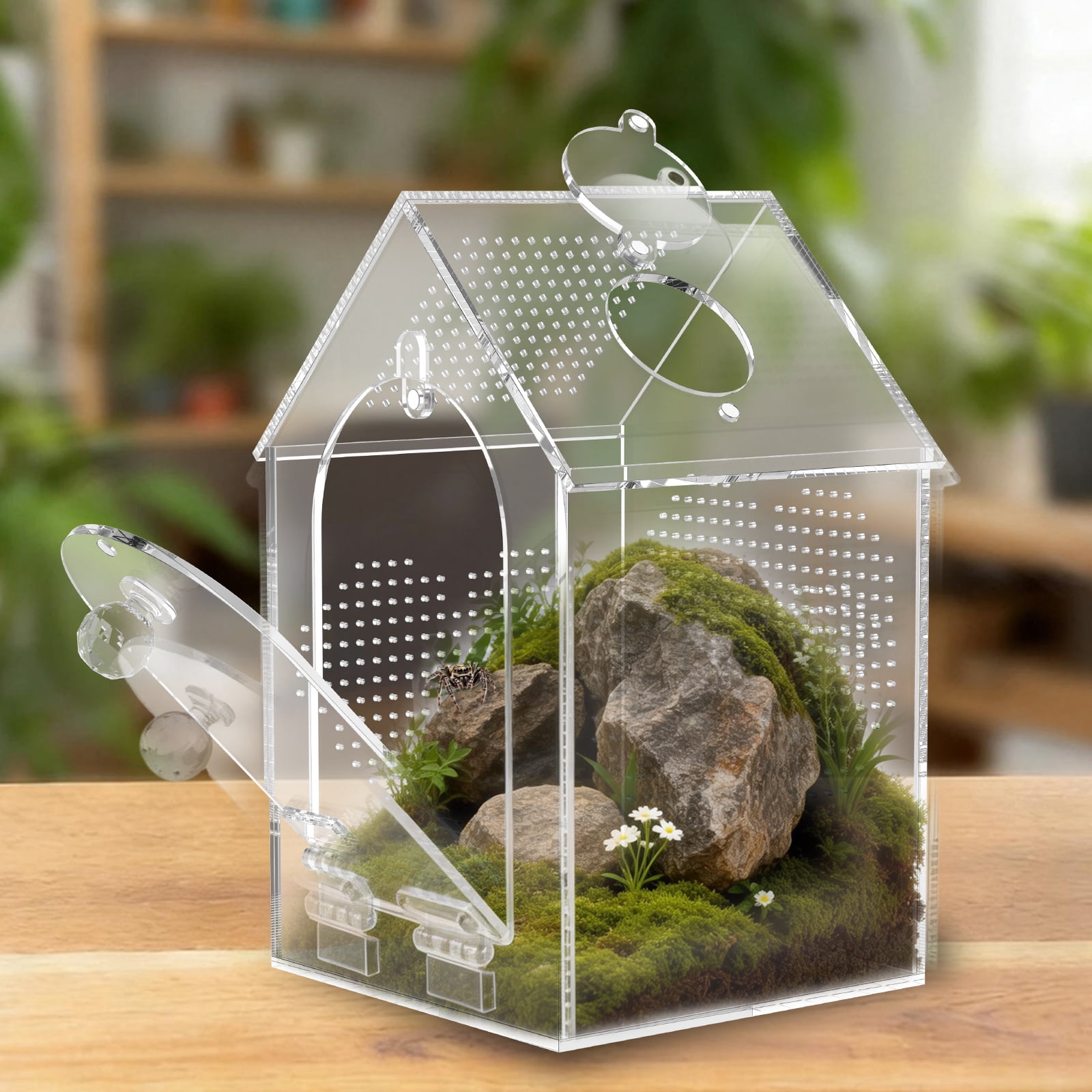 Jumping Spider Enclosure Warp Proof Seamless Acrylic Tarantula Terrarium Front Opening Spider Habitat with Feeding Port for Praying Mantis Hermit Crab Snail Micro Reptile (4.72x4.72x7.87 inch)